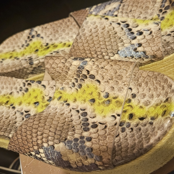 Reptile Patterned Sandals with Yellow Accents - Picture 2 of 6